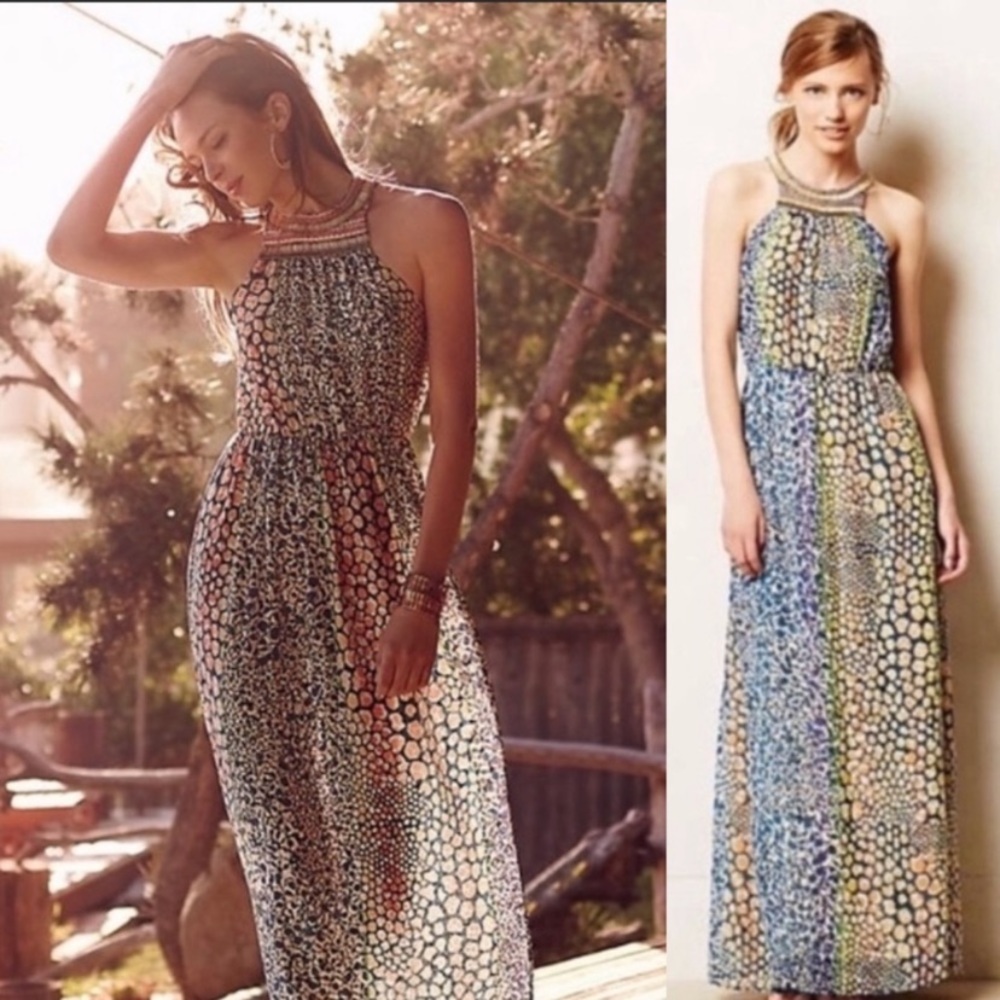Anthropologie Maxi Dress by HD in Paris NWOT